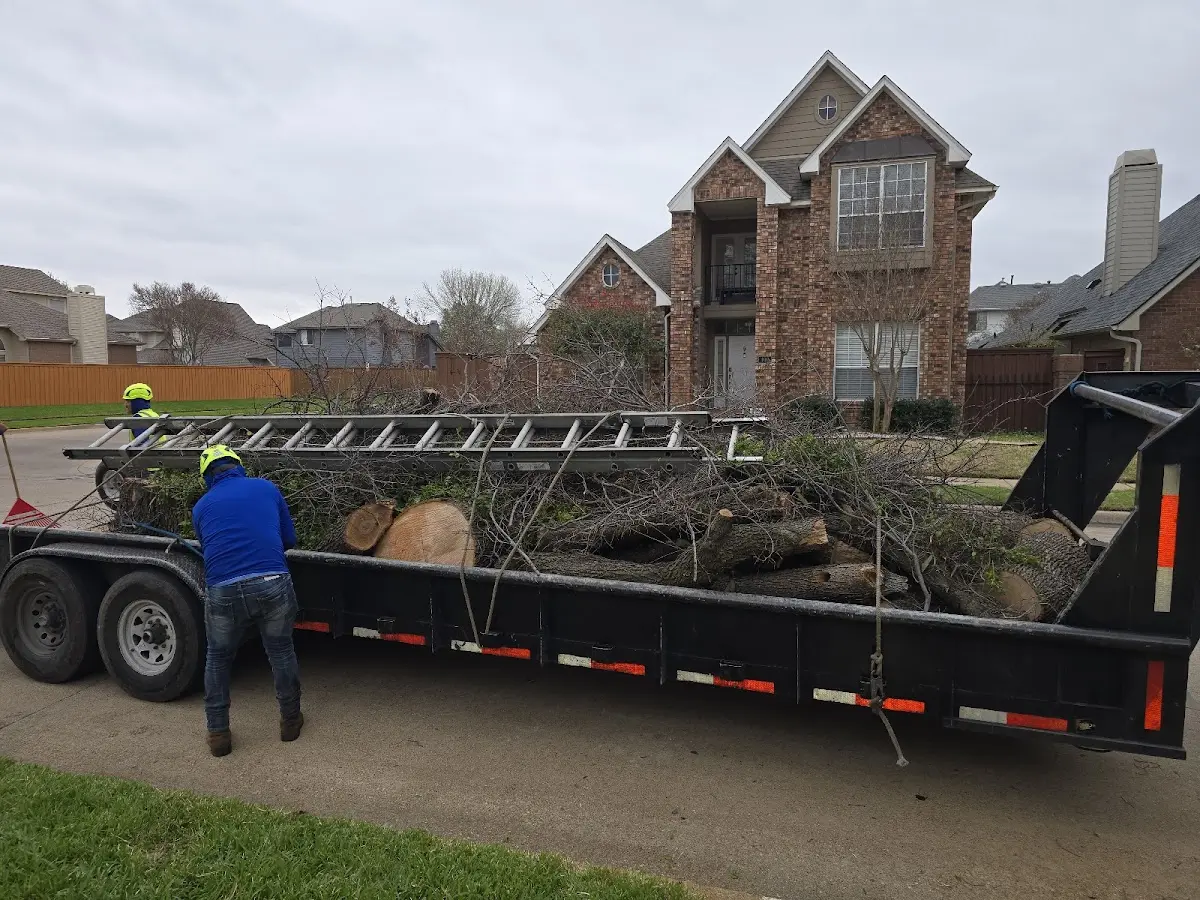 Expert Tree Fertilization with proper safety equipment in Gladeville